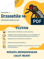 Acara 9 Drosophila Sp. Prak. Genetika 2022