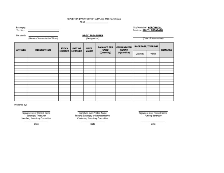 Report On Inventory of Supplies and Materials PDF