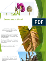 Senescencia Floral 2022