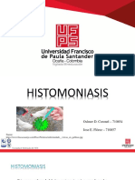 Histomoniasis 