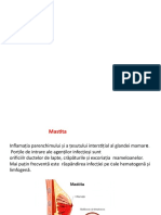 Презентация Microsoft PowerPoint