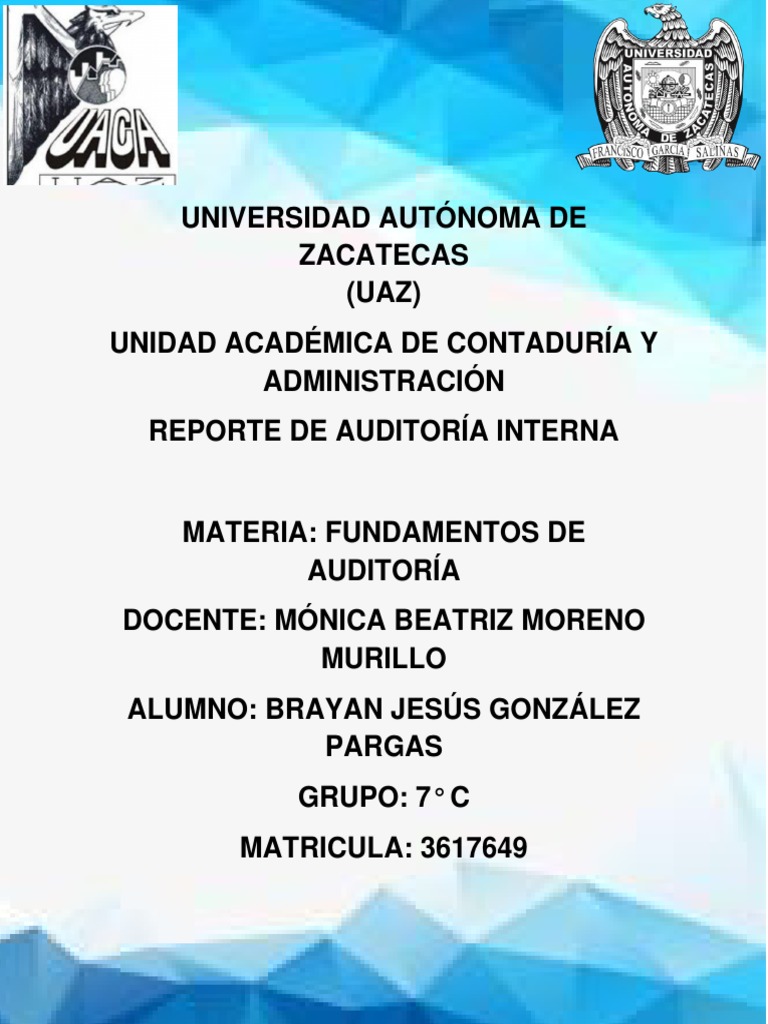 Reporte de Auditorã - A Interna - Brayan Jesus 7C | PDF | Business ...