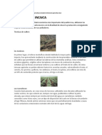 Agricultura y Ganaderia Monografia Incaico