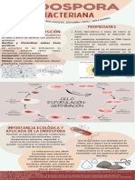 Grupo 4 - Endospora