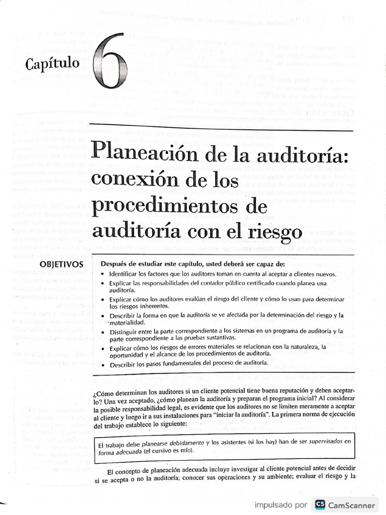 Cap 6 Principios De Auditoría Pdf