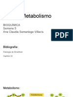 Metabolismo vías y estados