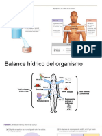 Química de Los Ácidos y Las Bases