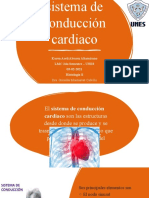 Sistema de Conducción Cardiaco