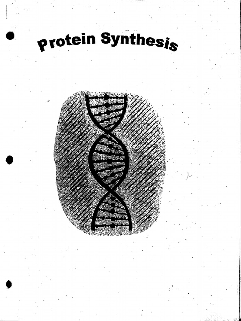 PROTEIN SYNTHESIS Lab Manual PDF
