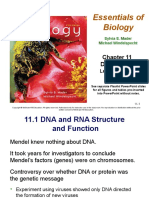 DNA Biology - 105 - Spring 2020