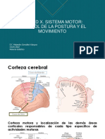 U. X Fisiología I