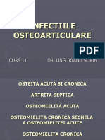 Curs 10 Infectiile Osteoarticularec80a09f5361d0184d20b8f49b861ba8032a3c8aff7e00afff9943186e602b650