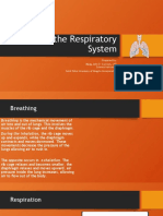 Organs in The Respiratory System