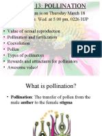 Lec13 Pollination