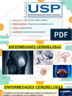 Enfermedades Cerebeloso