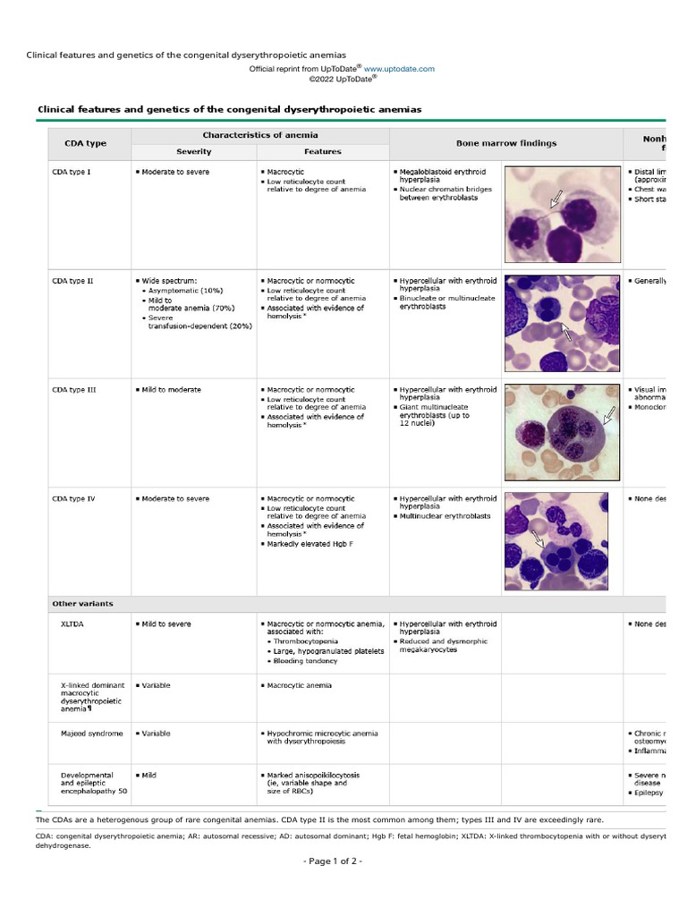Clinical Features and of The Congenital Dyserythropoietic