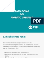 Tema6.5 Patologia Urinario