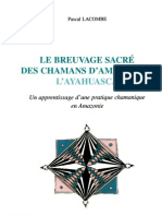 Le Breuvage Sacre Des Chamans d Amazonie - L Ayahuasca