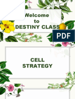 Cell Strategy 1