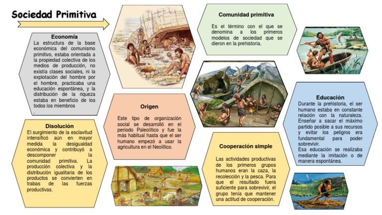 Infografia | PDF | Sociedad | Cazador recolector