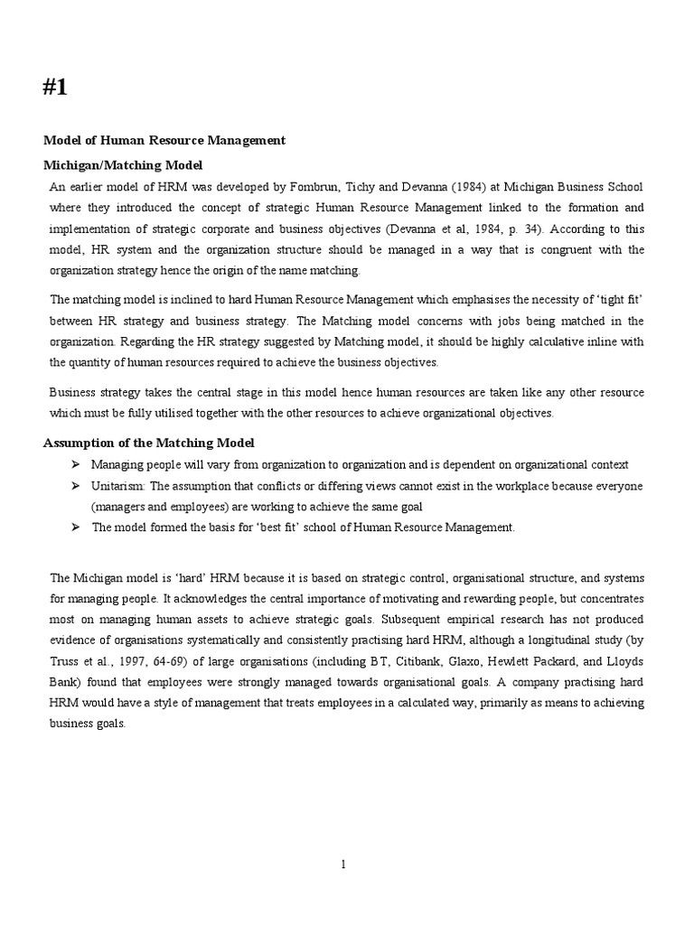 Michigan Matching Model of HRM Explained | PDF