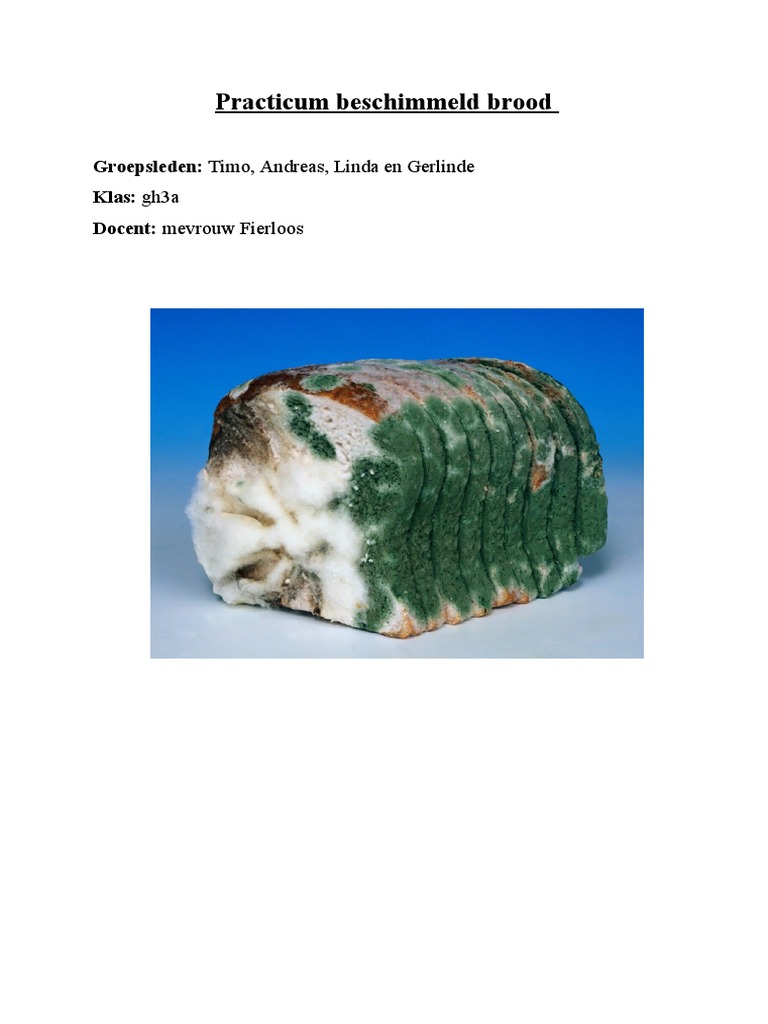 Practicum Beschimmeld Brood PDF