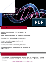 Clase 3 Organizacion Del Dna en Cromosomas - 1863 - 0