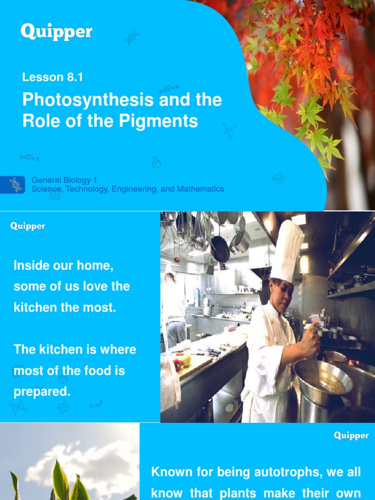 Unit 8 - Photosynthesis | PDF | Photosynthesis | Plant Physiology