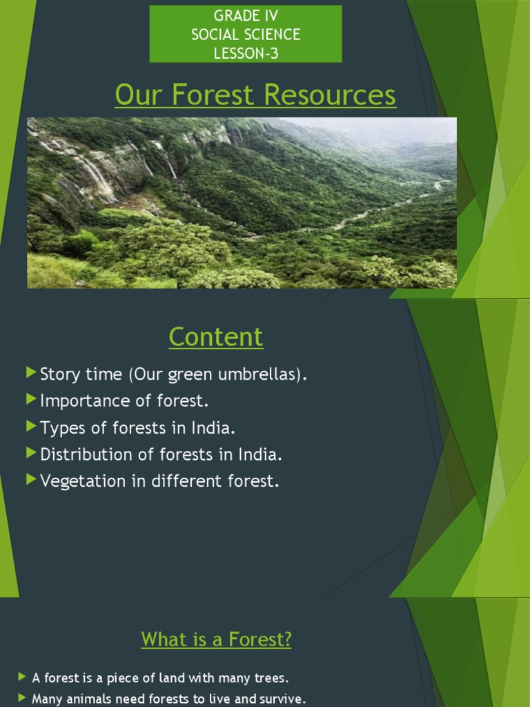 Forest Resources in India for Grade IV | PDF | Trees | Forests