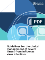 Guidelines For The Clinical Management of Severe Illness From Influenza Virus Infections