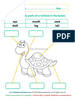 THE KIDS WORKSHEETS - Body Parts Tortoise
