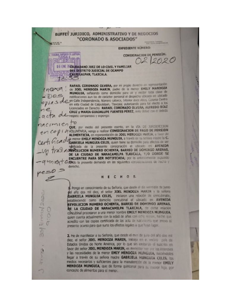Juicio de Alimentos Provisionales | PDF
