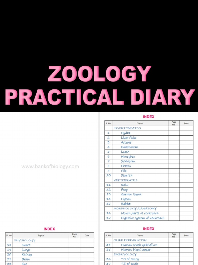 Zoology Practical Record Book PPX PDF