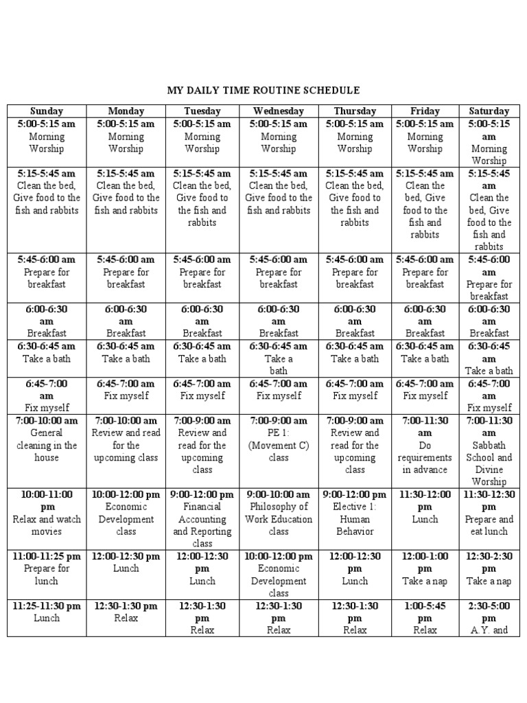Daily Routine | PDF
