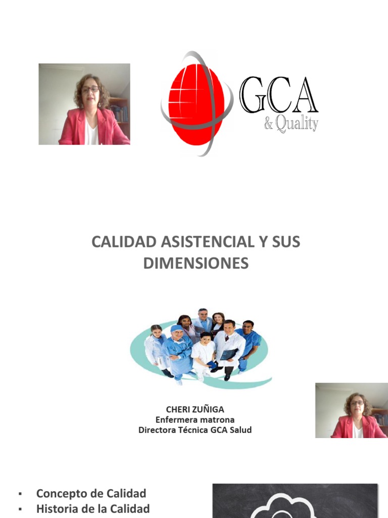 Dimensiones de la Calidad Asistencial | PDF | Calidad (comercial)