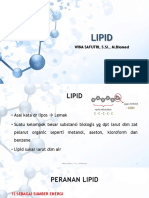 Lipid - Wina Safutri