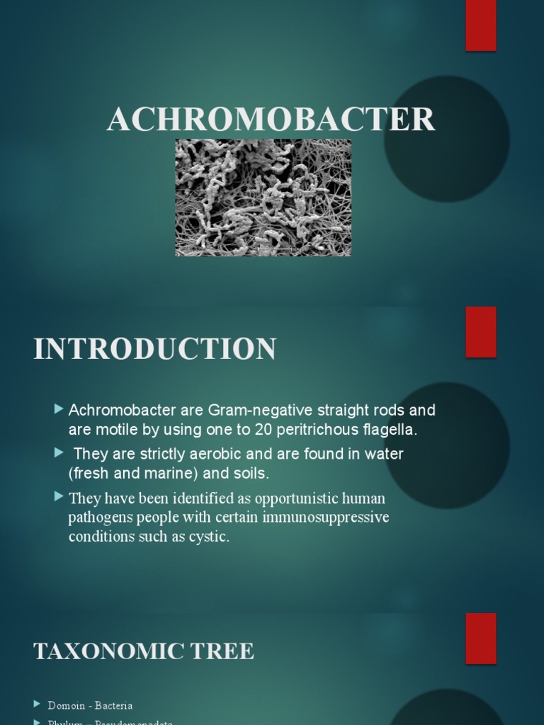 Achromobacter PDF