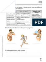 Une Mediante Flechas Los Órganos y Aparatos Con Las Tareas Que Realizan y Con La Función en La Que Participan