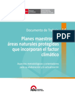 14 Doc Trabajo Planes MAestros y CC