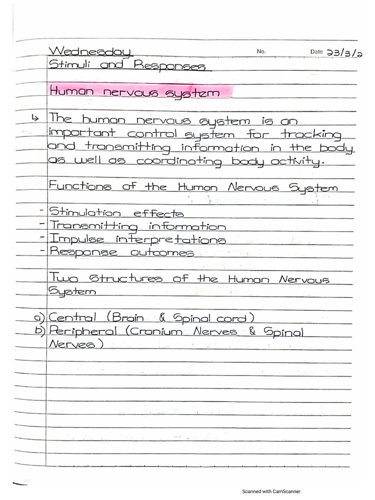 Science Notes | PDF