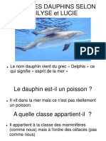 Expose Dauphin
