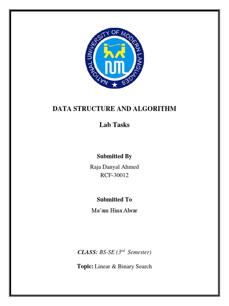 Lab 10 pdf computer programming software development