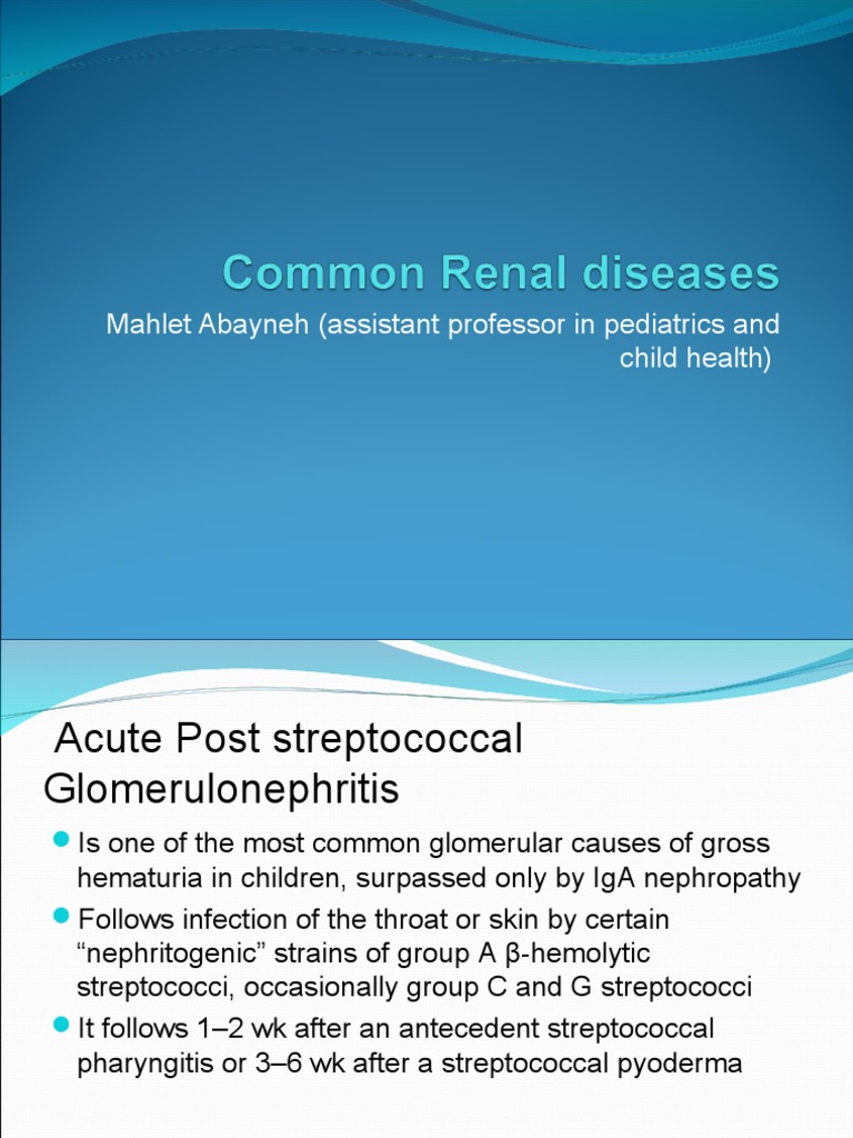 Common Renal Diseases PDF Urinary Tract Infection Causes Of Death