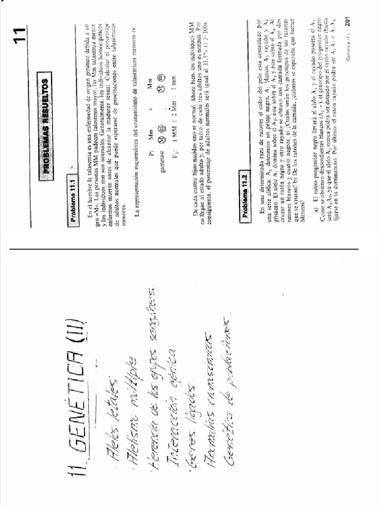 Tema 11 | PDF