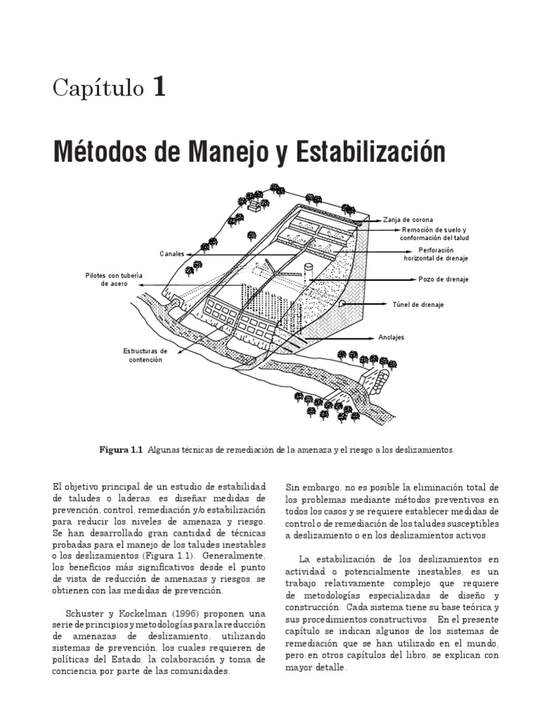 Técnicas de Estabilización de Taludes | PDF | Diseño | Suelo
