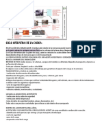 Ciclo Operativo de La Carga