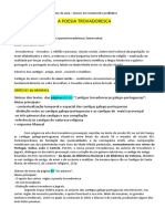 Notas de aula sobre a poesia trovadoresca