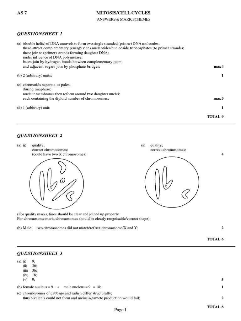 Mitosis and Cell Cycle Overview | PDF | Mitosis | Meiosis