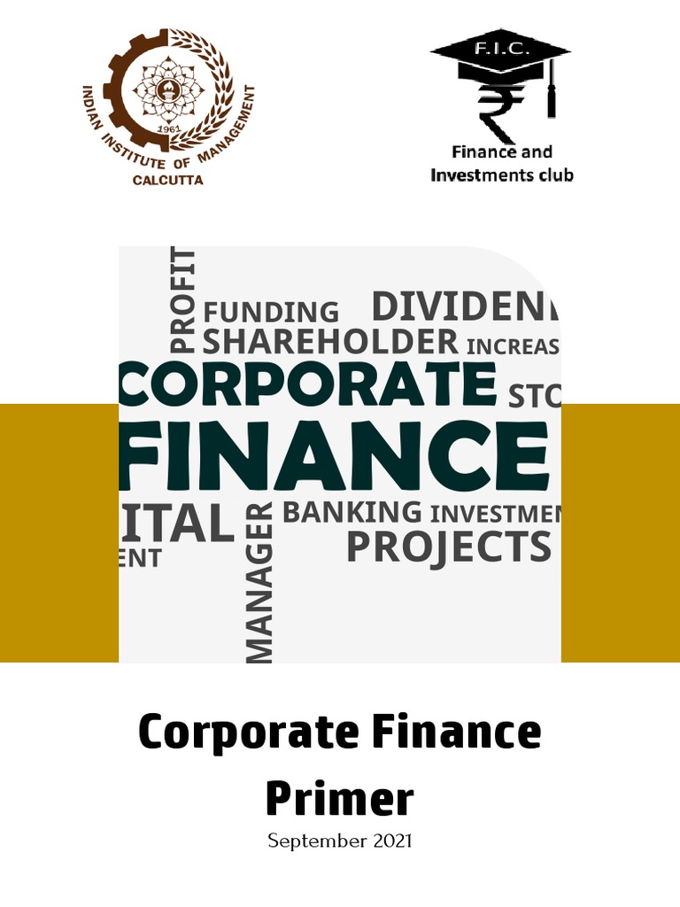 Corporate Finance Primer PDF Net Present Value Stocks