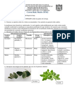 Evaluacion Continua Hoja MCR